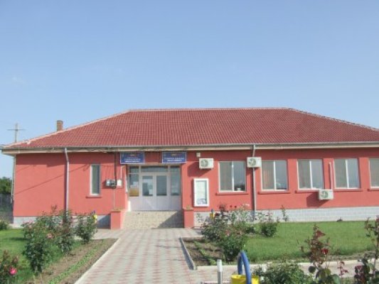 Locuitorii din Rasova se pregătesc să îşi aleagă primarul. Vezi când
